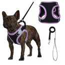 Colete ajustável HP199--1pc para cães e gatos, tecido de malha preto e respirável com cobertura de borda colorida.