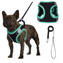 Colete ajustável HP199--1pc para cães e gatos, tecido de malha preto e respirável com cobertura de borda colorida.