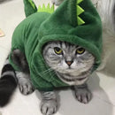 Roupas engraçadas para animais de estimação fantasia de cachorro quente de lã coral dinossauro bonito cosplay de vaca tigre para cães pequenos e médios acessórios para animais de estimação