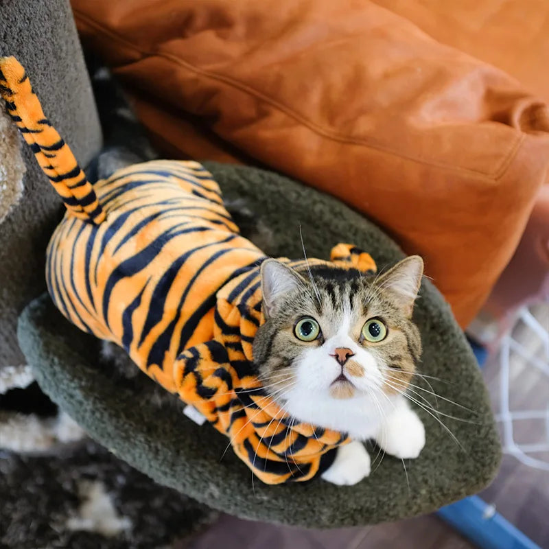 Roupas engraçadas para animais de estimação fantasia de cachorro quente de lã coral dinossauro bonito cosplay de vaca tigre para cães pequenos e médios acessórios para animais de estimação