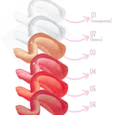 Kit Com 2/1 Gloss Lip Sarahs Beauty Lip Glos Brilho