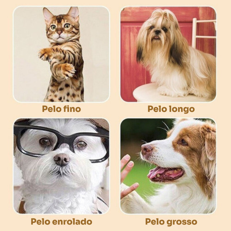 Kit Máquina Para Tosar Pet + Tesoura + Pente + Lixa Máquina Profissional Para Cachorro & Gato